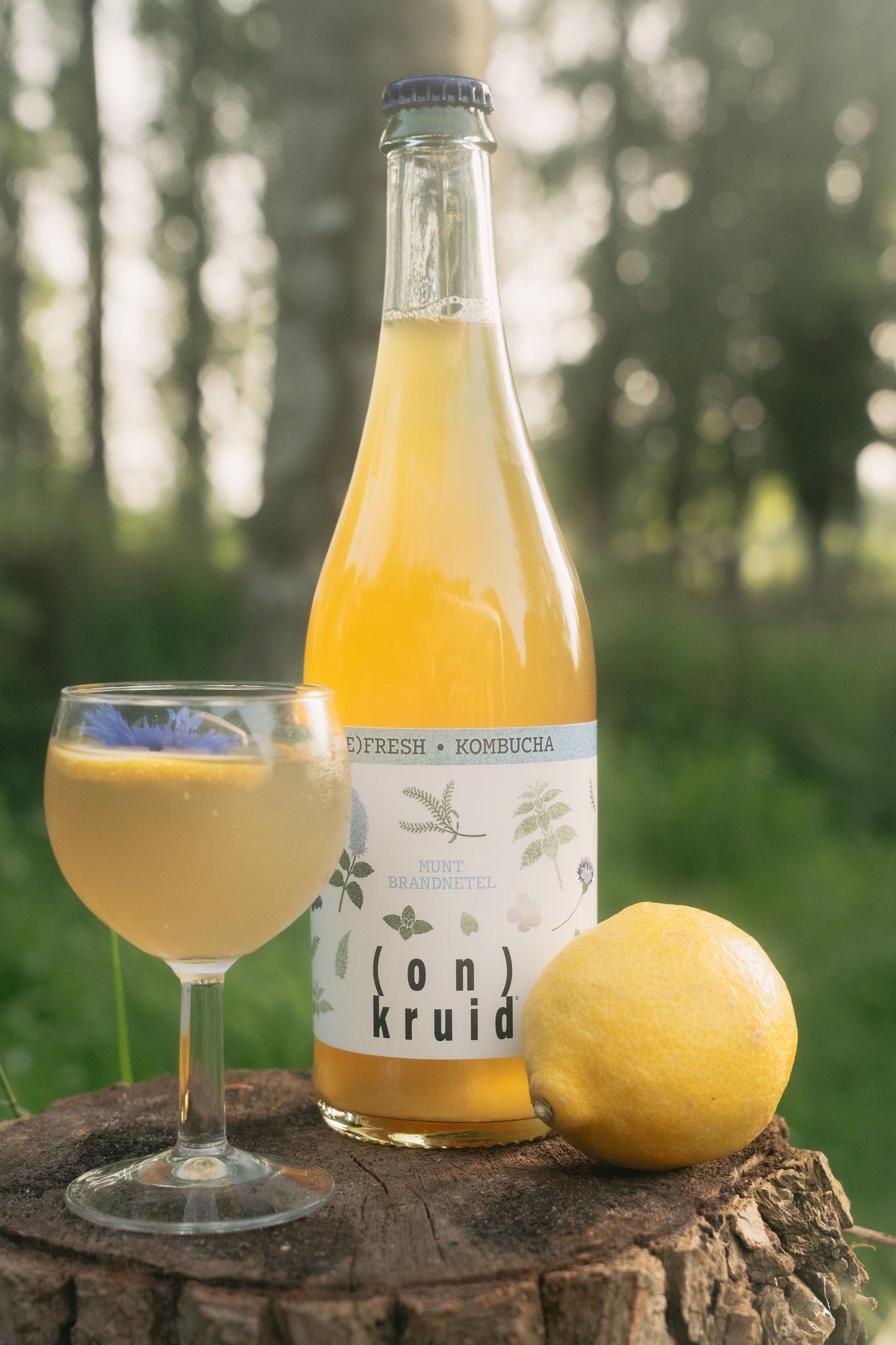 (RE)FRESH Kombucha - Munt/Brandnetel