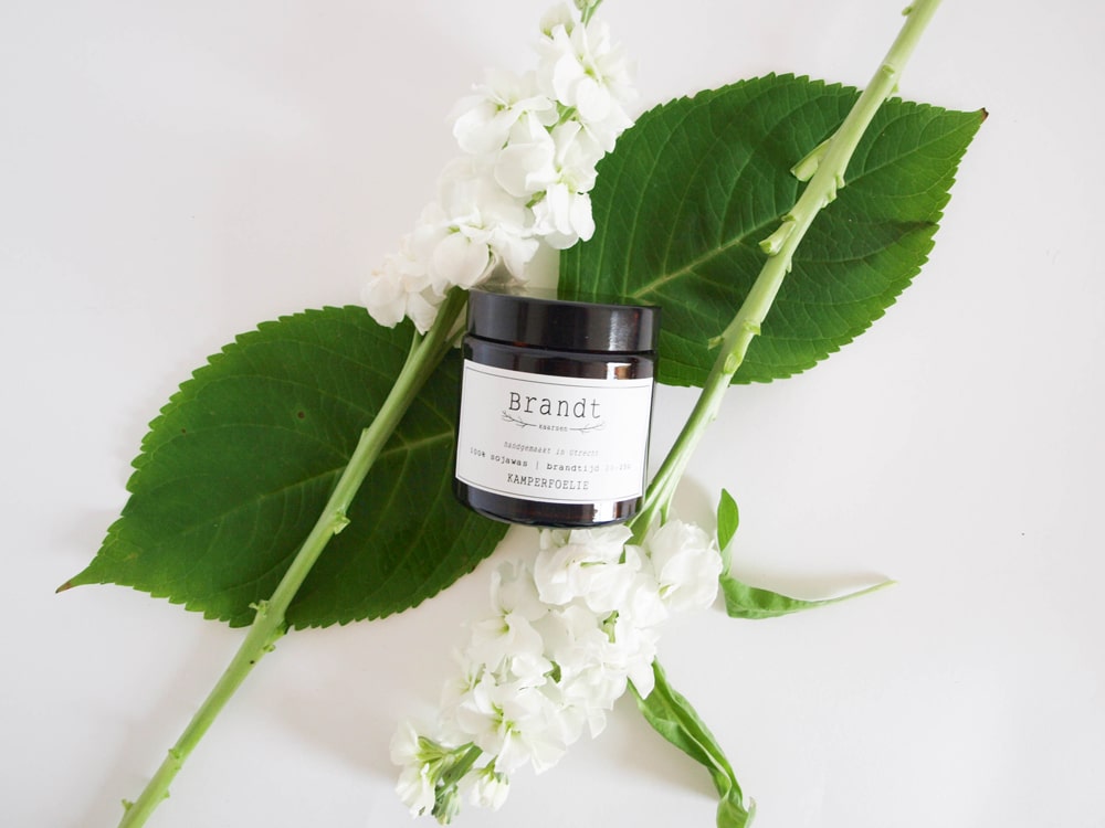 Brandt Apothecary Candle Honeysuckle