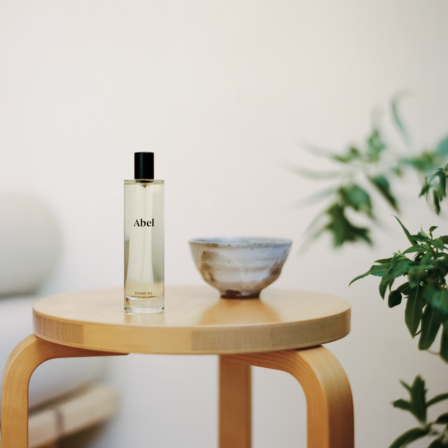 Room Spray - Scene 01