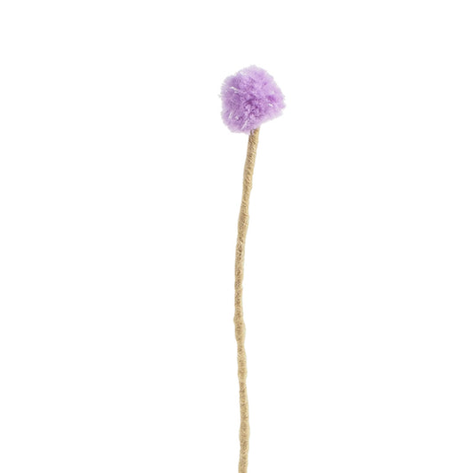 Endless Flower - Canada Thistle