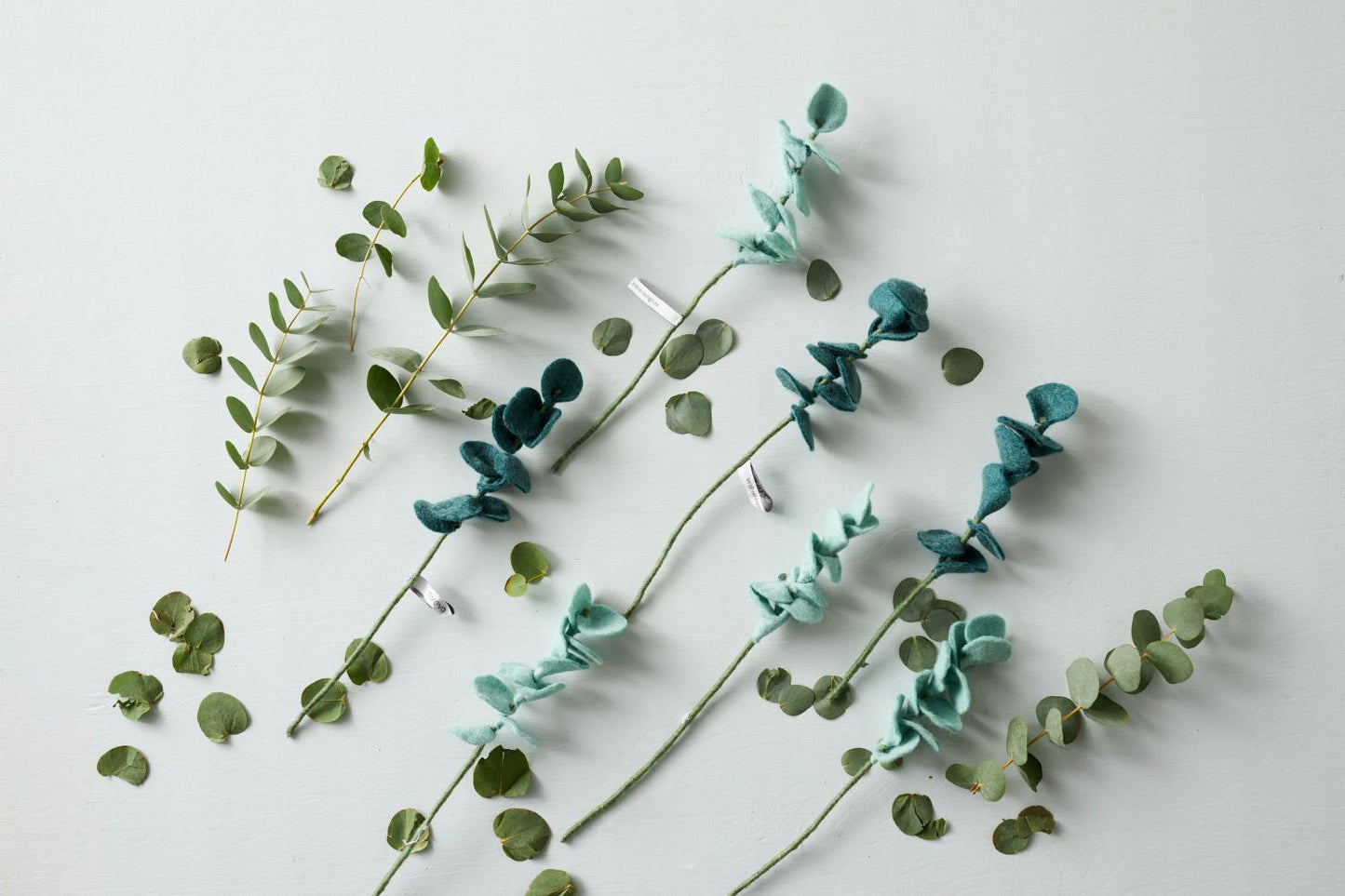 Endless Flower - Eucalyptus Silver-Green
