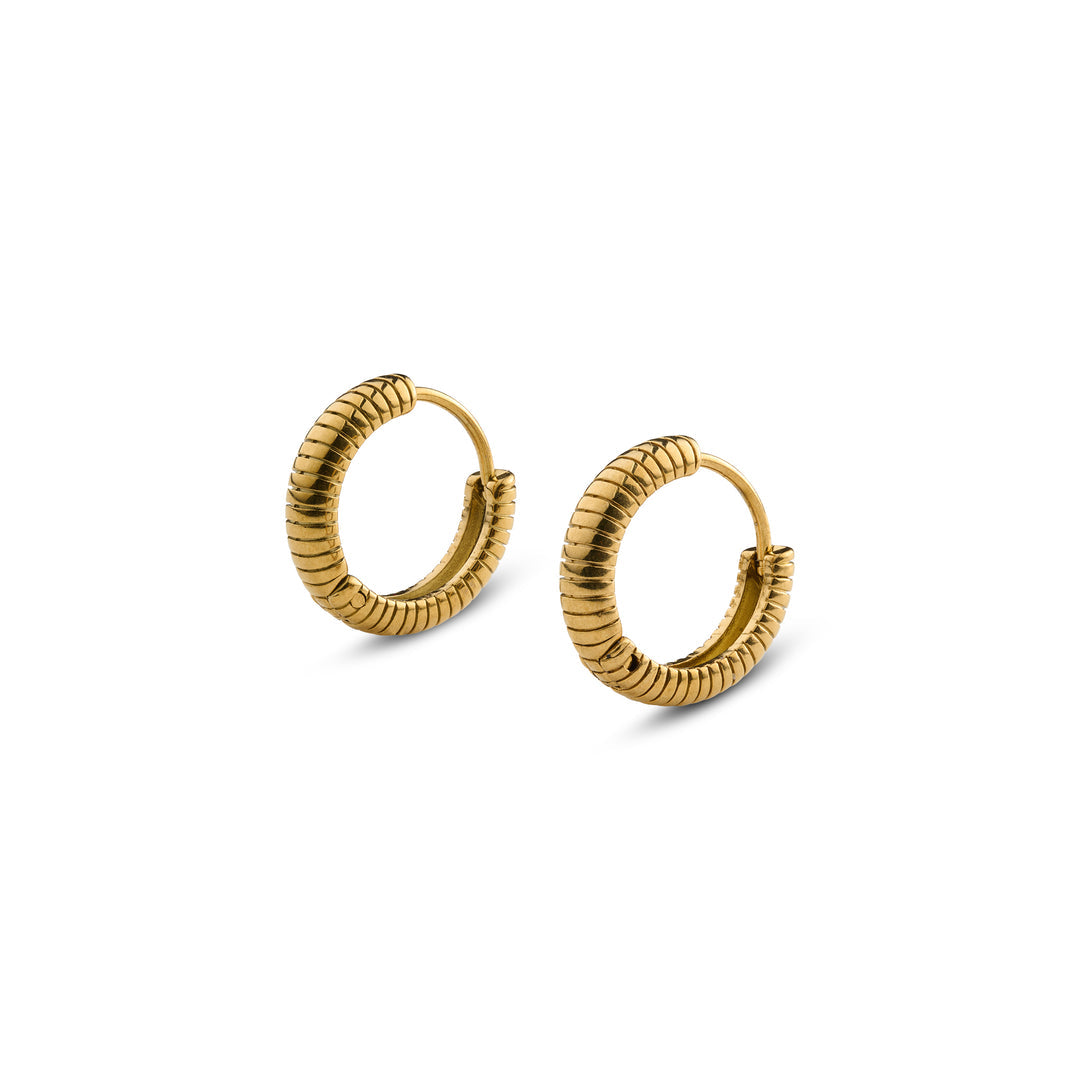 Vivia Ribbed Hoop Earrings - Gold