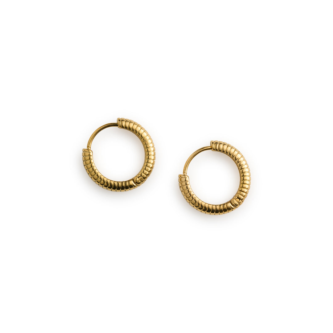 Vivia Ribbed Hoop Earrings - Gold
