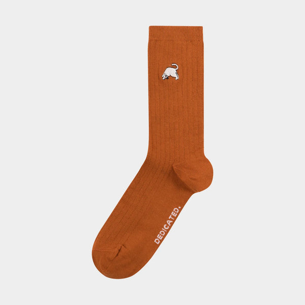 Knivsta Socks Dog Pose - Cinnamon