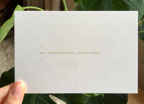 Ruth Van de steene Card - Een superprachtig leven