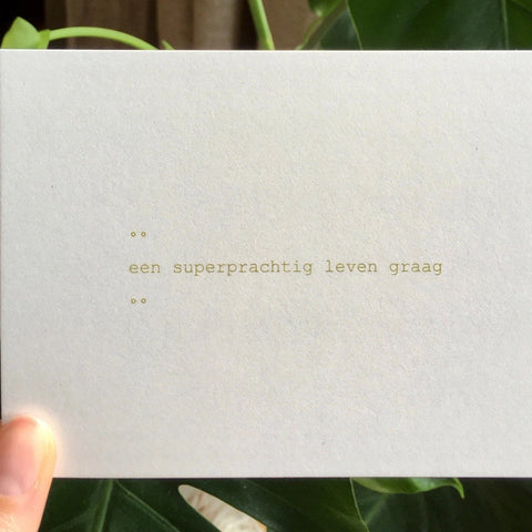 Ruth Van de steene Card - Een superprachtig leven