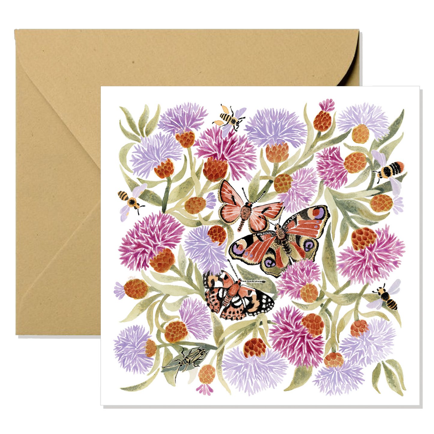 Greeting Card - Knapweed
