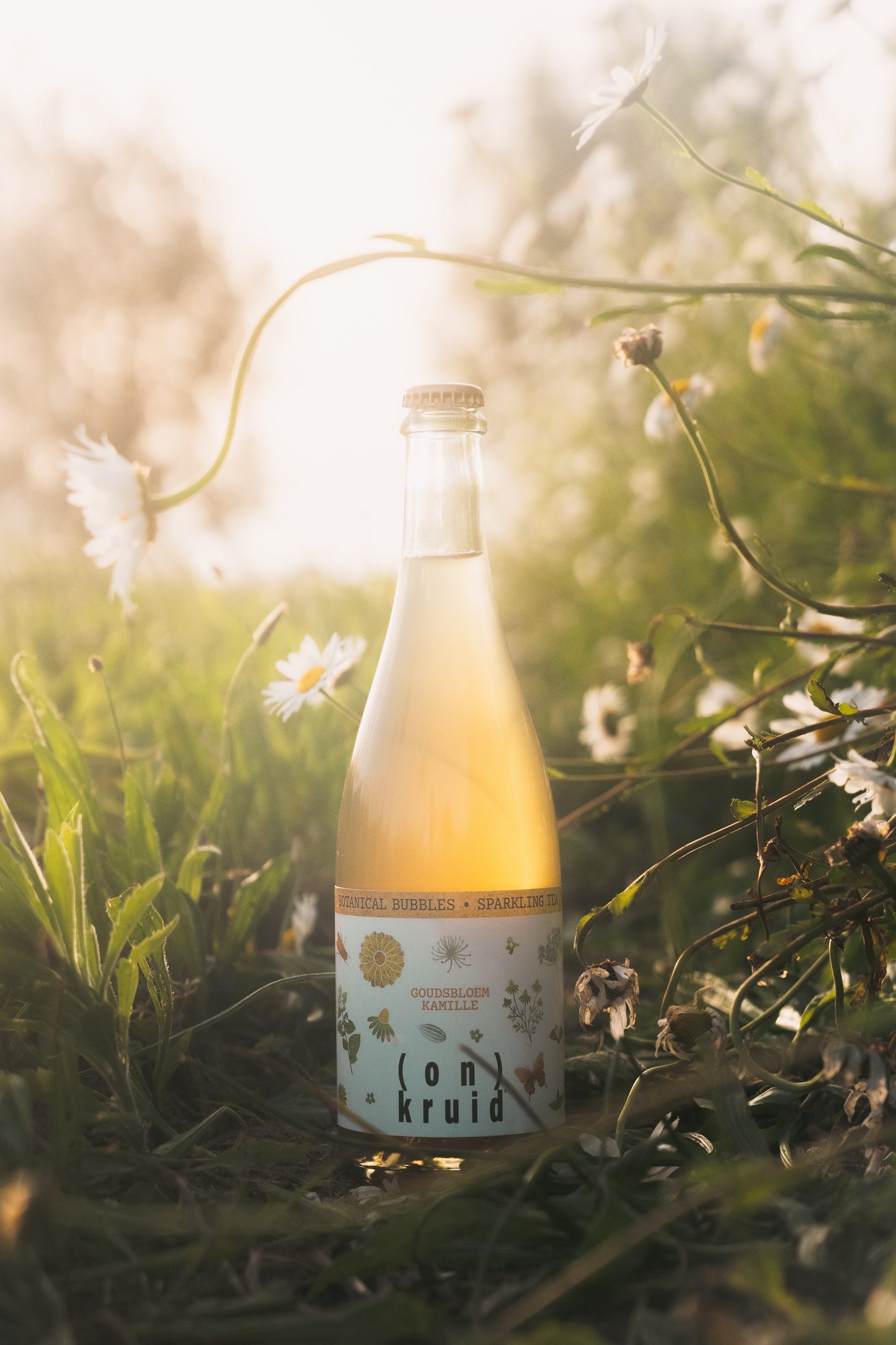 Sparkling Tea - Goudbloem/Kamille