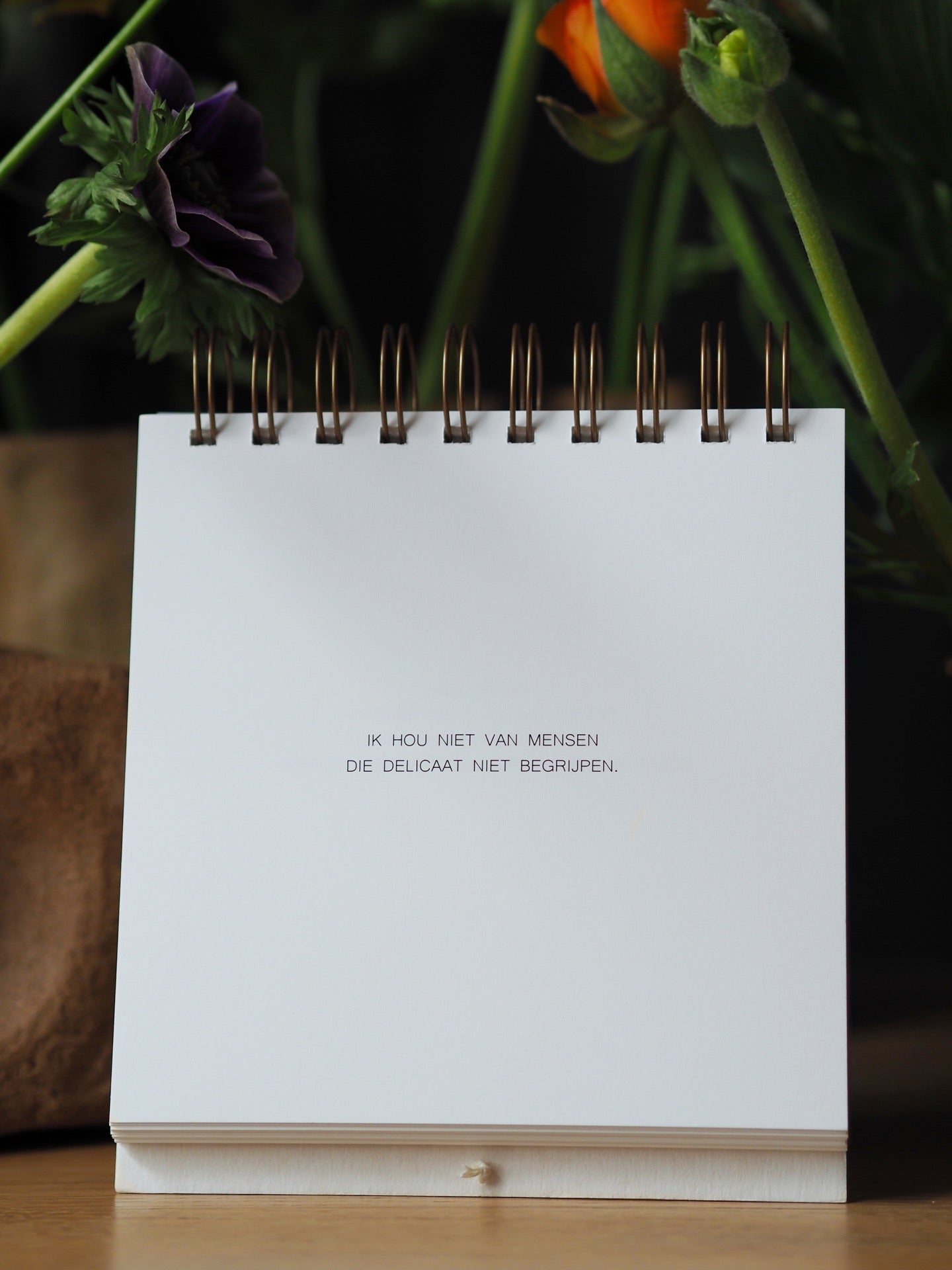 Ruth Van de steene - Standing Booklet