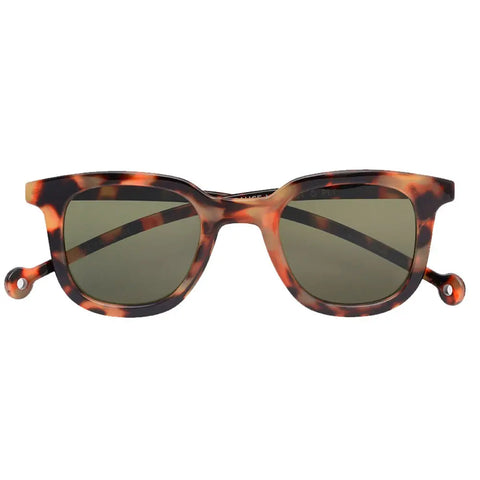 Sunglasses Cauce - Tortoise