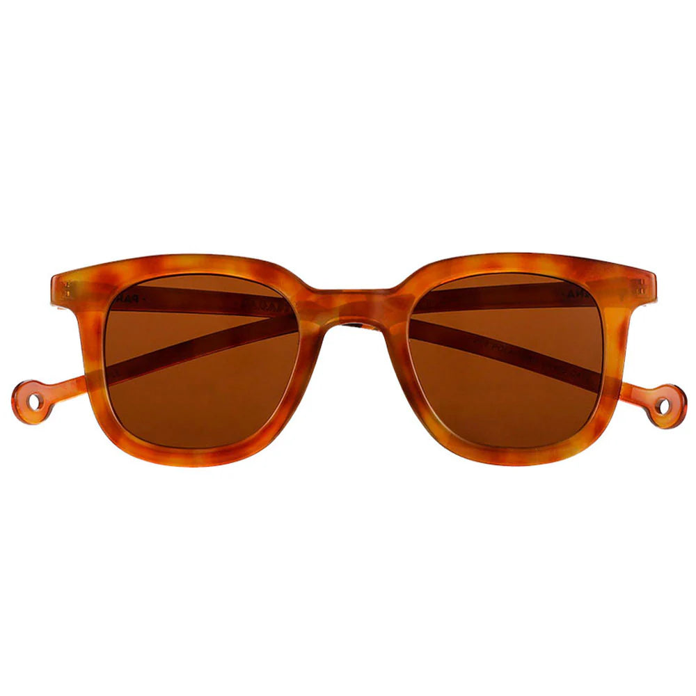Cauce Sunglasses - Carey Genjibre
