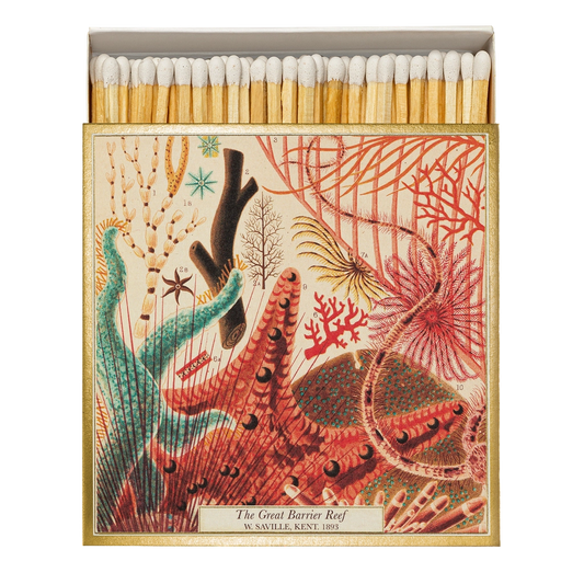 Archivist Gallery Matches - Great Barrier Reef