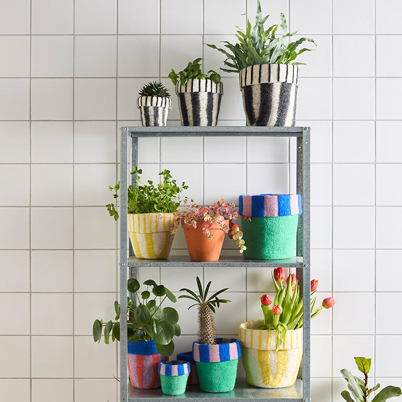 Flower Pot - Carnival