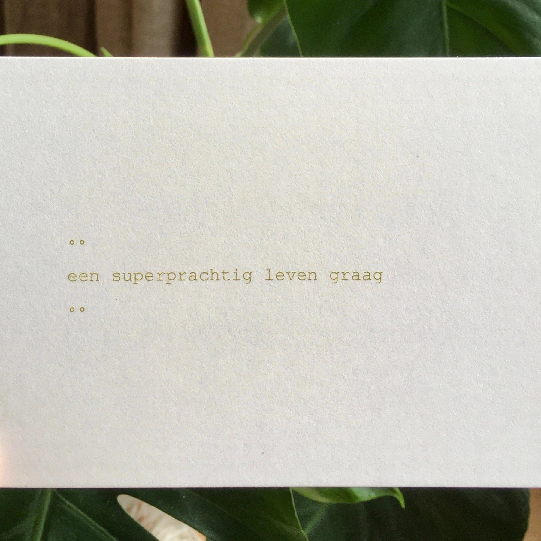 Ruth Van de steene Card #31 - superprachtig leven