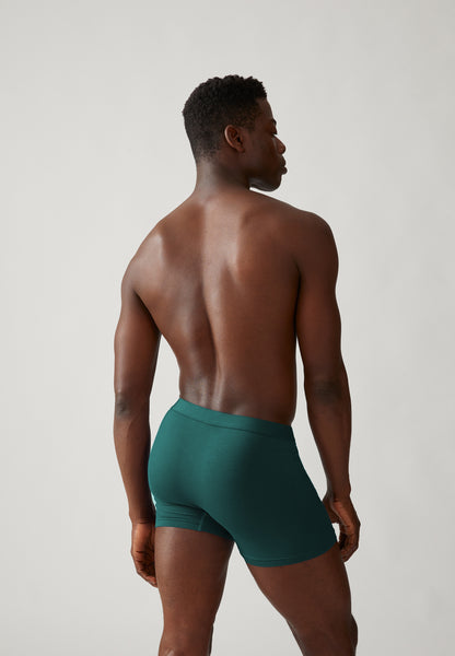 Ricaard Boxer - Teal Stone